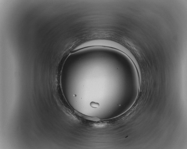 X0000116810362200912241225