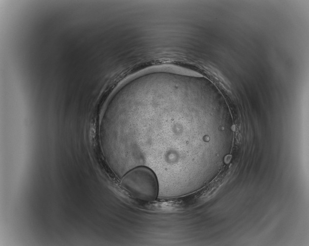 X0000116810365200912241225