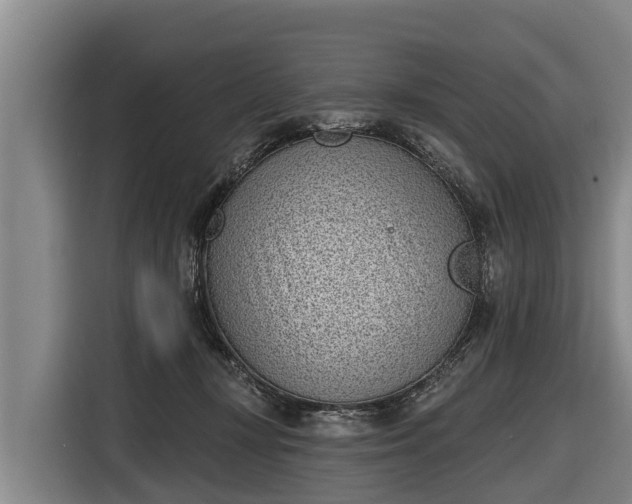 X0000116810367200912241225