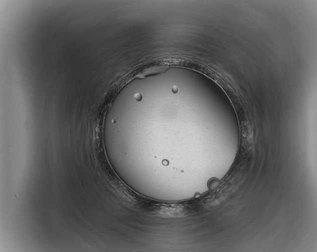 X0000116810369200912241226