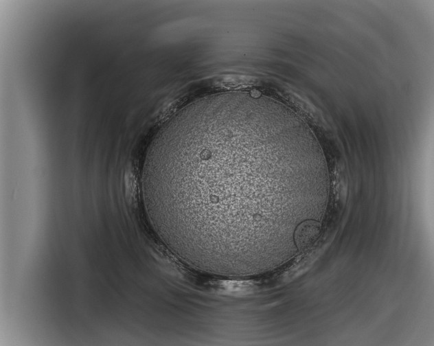 X0000116810371200912241226