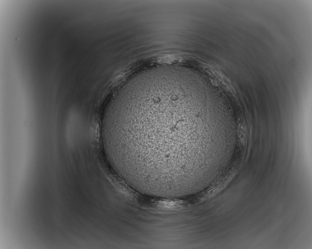 X0000116810375200912241226