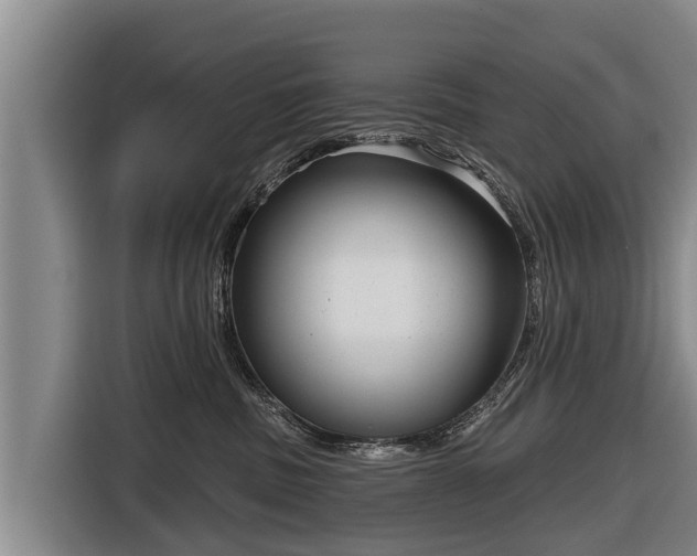 X0000116810379200912241226