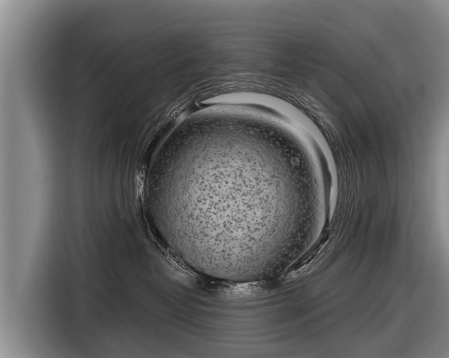 X0000116810382200912241226