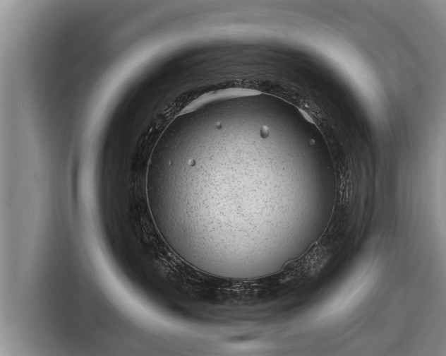 X0000116810383200912241226