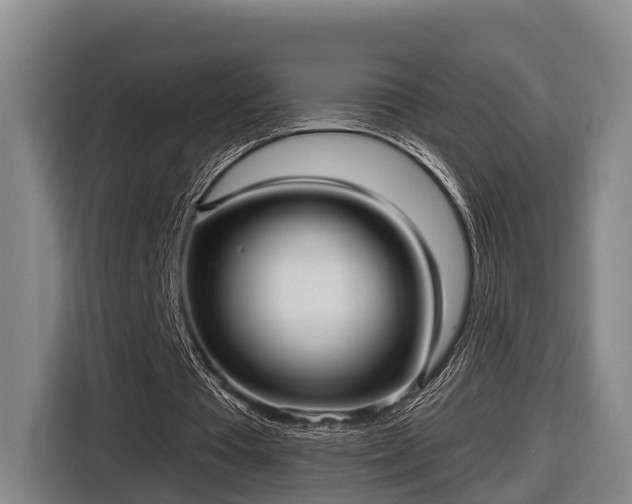 X0000116810385200912241225