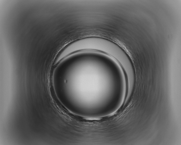 X0000116810386200912241225