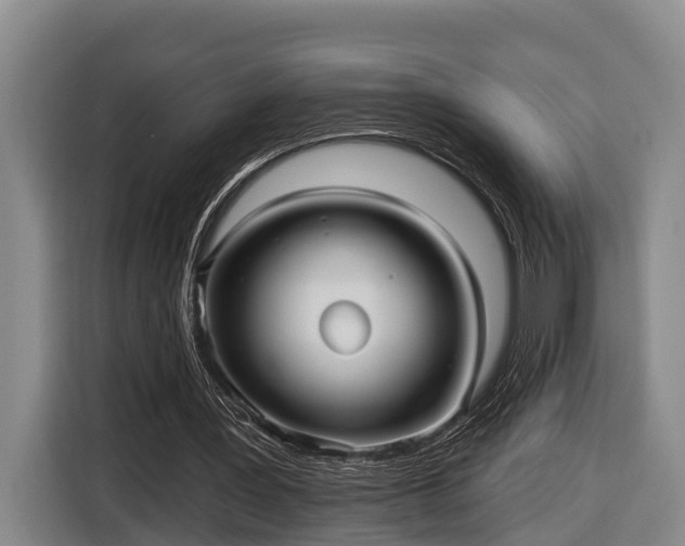 X0000116810387200912241225