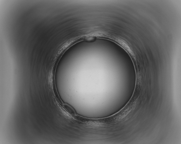 X0000116810389200912241225