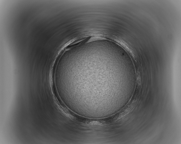 X0000116810390200912241225