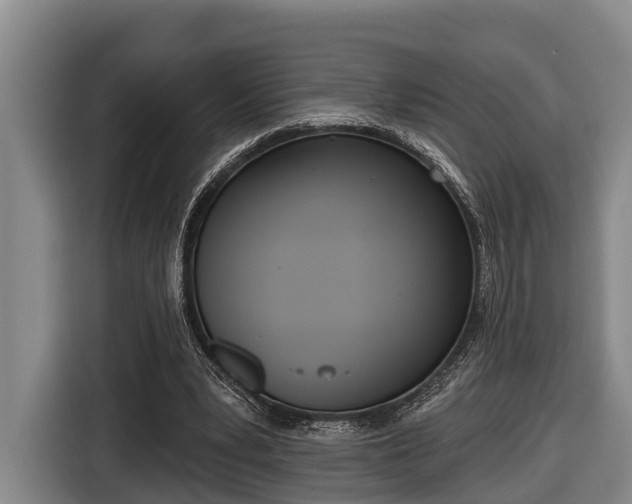 X0000116810391200912241225