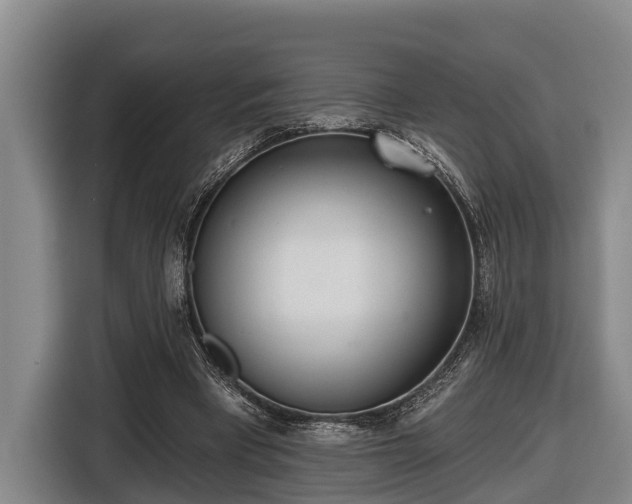 X0000116810393200912241225