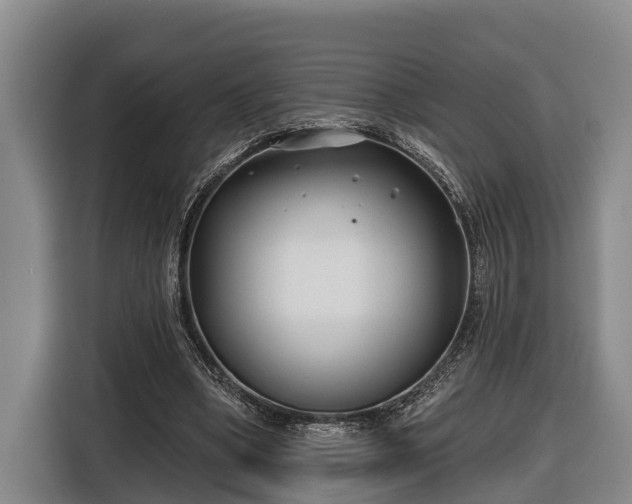 X0000116810394200912241225