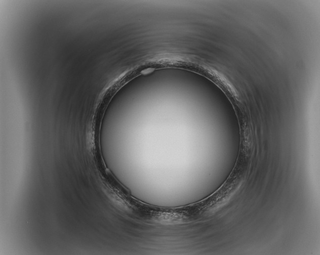 X0000116810399200912241225