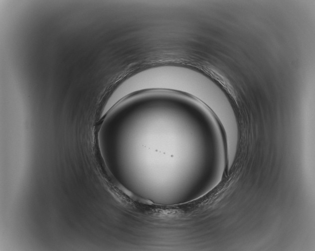 X0000116810401200912241225