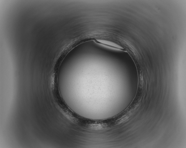 X0000116810404200912241225