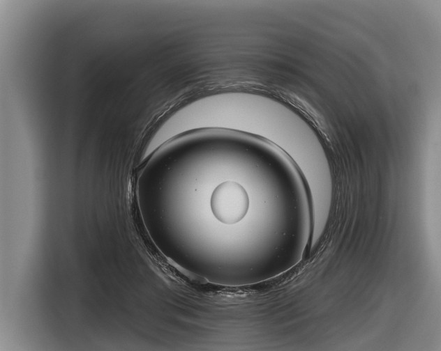 X0000116810405200912241225