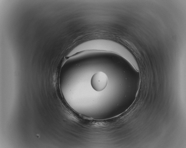 X0000116810409200912241225