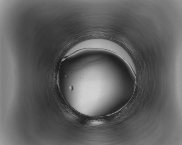 X0000116810411200912241225