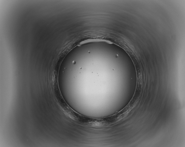 X0000116810412200912241225