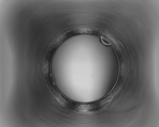 X0000116810413200912241225