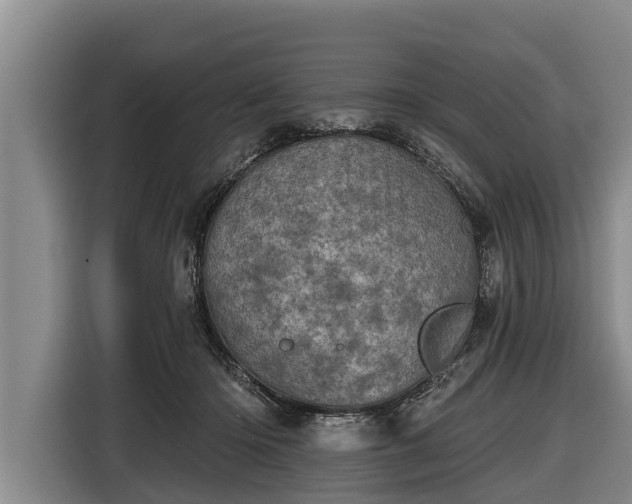 X0000116810414200912241225