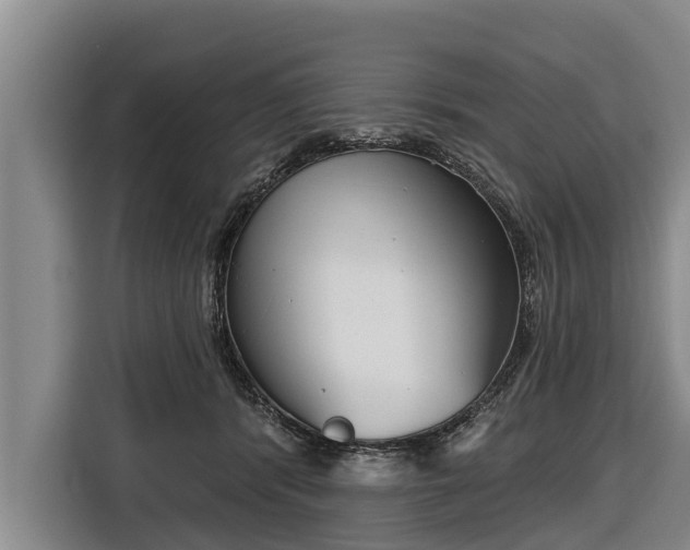 X0000116810416200912241225