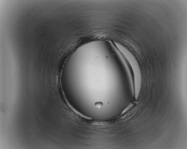 X0000116810417200912241225