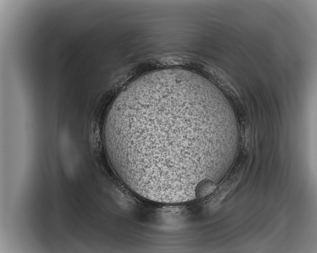 X0000116810418200912241225