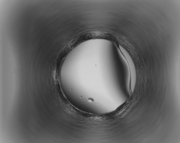 X0000116810419200912241225