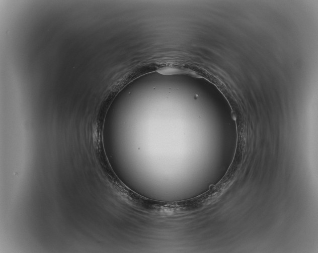 X0000116810420200912241225