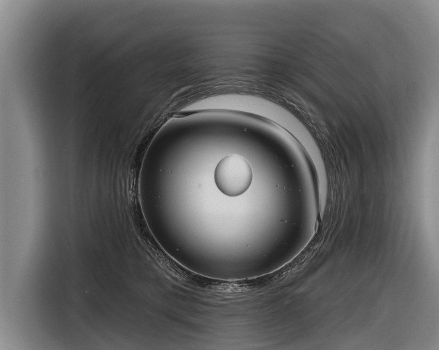 X0000116810421200912241225