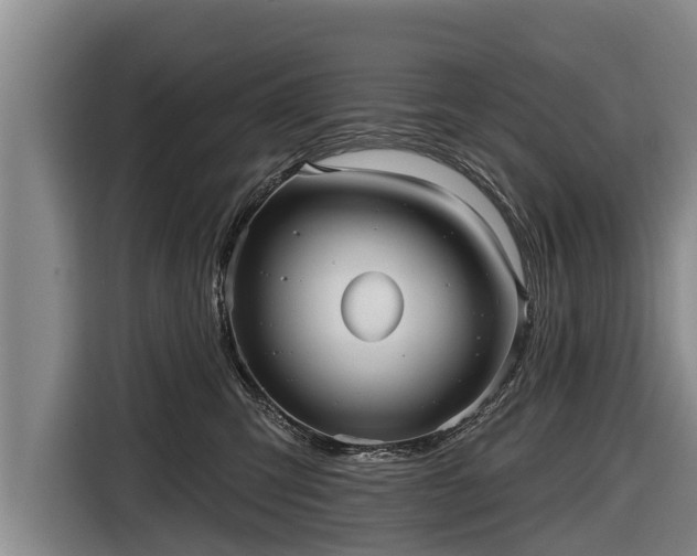 X0000116810423200912241225