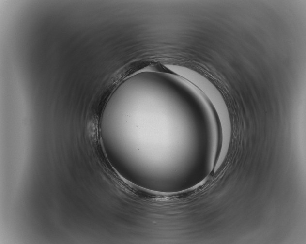 X0000116810425200912241225