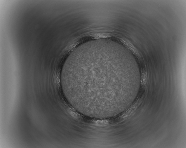 X0000116810426200912241225