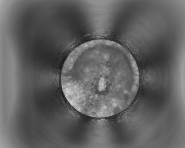 X0000116810427200912241225