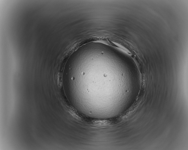 X0000116810428200912241225