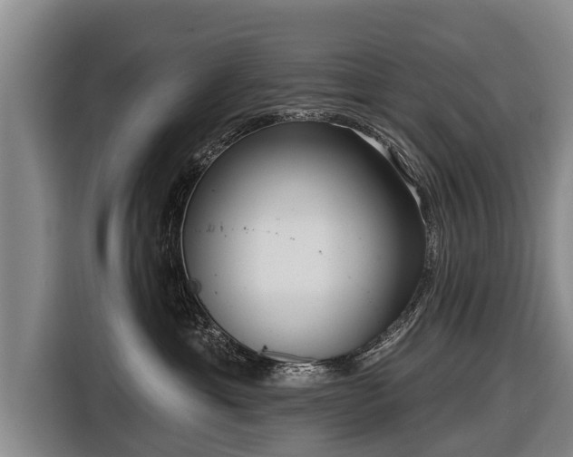 X0000116810429200912241225