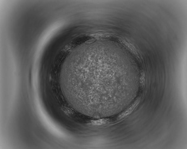 X0000116810430200912241225