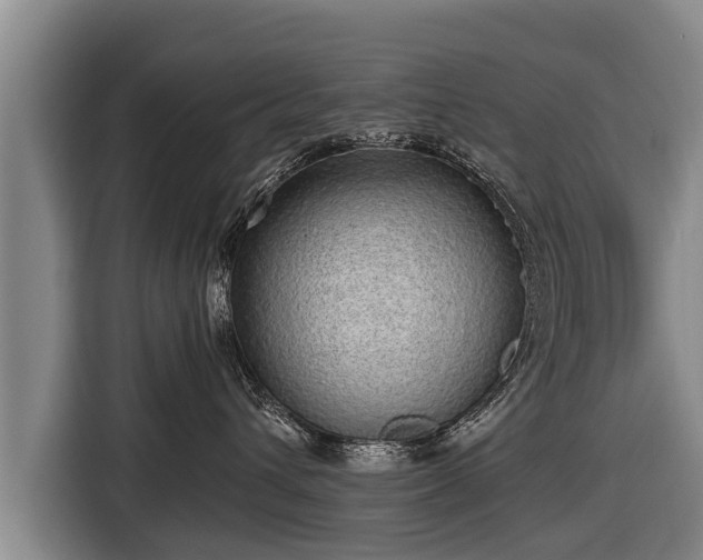 X0000116810432200912241224