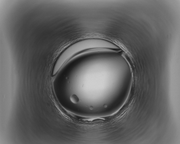 X0000116810433200912241224