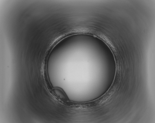 X0000116810434200912241224