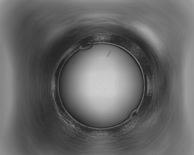 X0000116810435200912241224