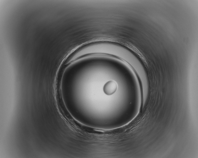 X0000116810436200912241224