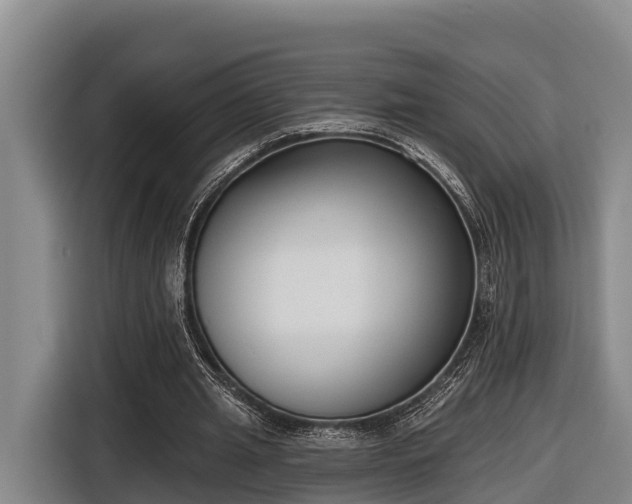 X0000116810437200912241224