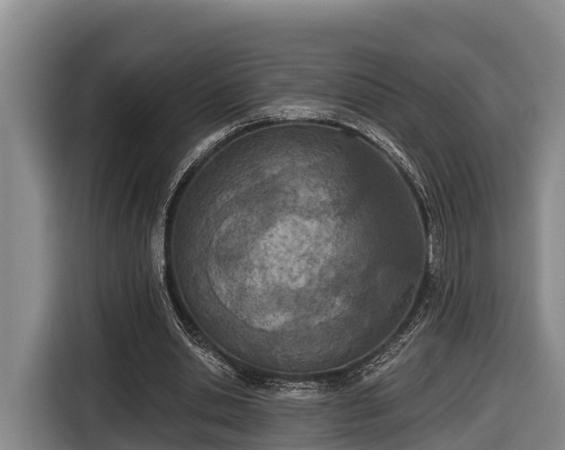 X0000116810438200912241224