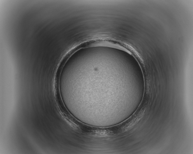 X0000116810439200912241224