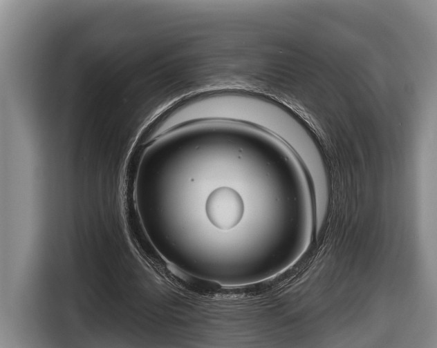 X0000116810440200912241224