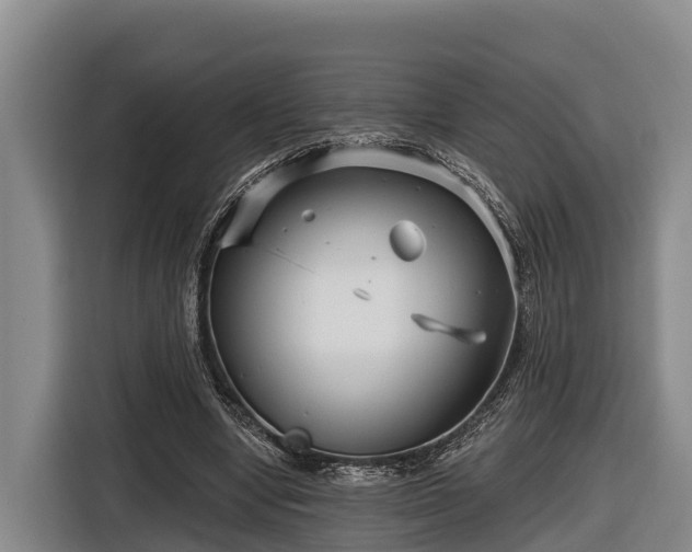 X0000116810442200912241224