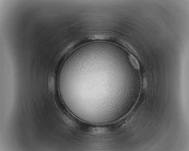 X0000116810444200912241224